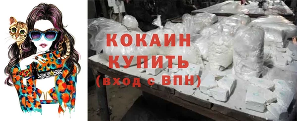 молекула духа Вуктыл